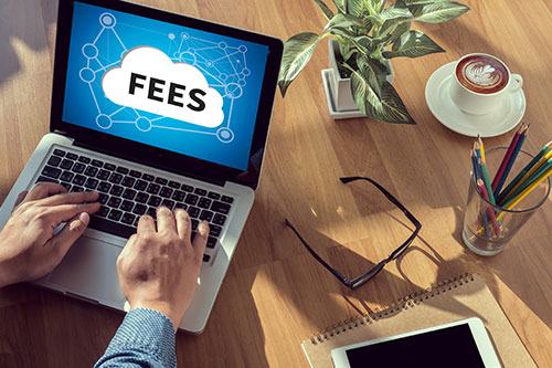 Laptop with Fees on screen